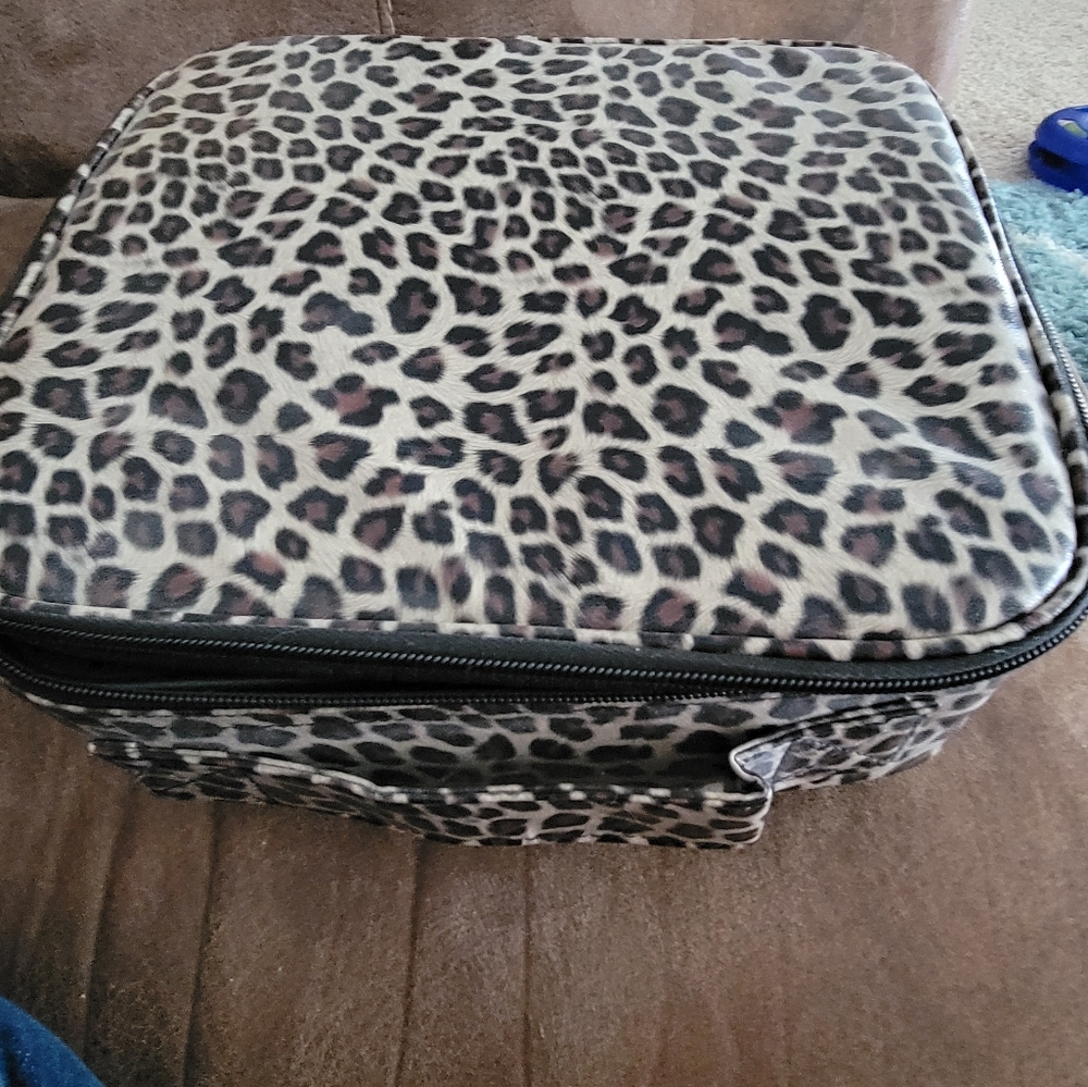 Cosmetic case